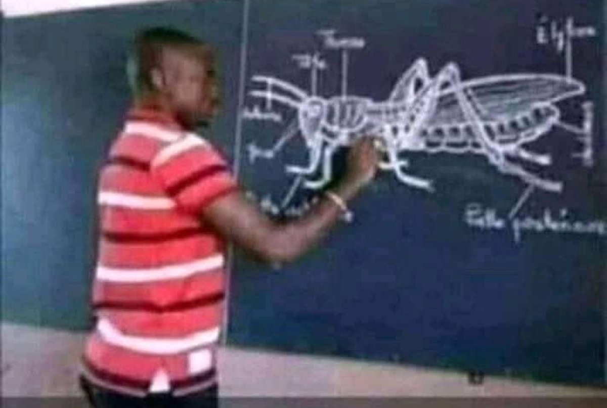 This is one of the things that wasted our time in secondary school, when our mates are in China constructing phones, cars, etc,
Ok now tell me watin we use dis grasshopper do for life?