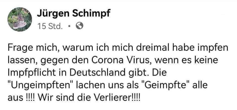 TomBayou tweet media