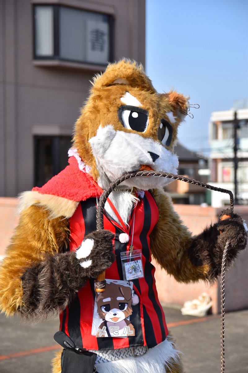 チャグ@メモル→関ケモ tweet media