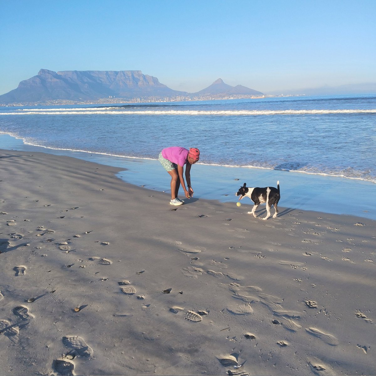 Musa Kotane tweet media