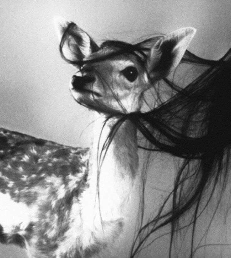 Black. (@blackdreamvibes) on Twitter photo 