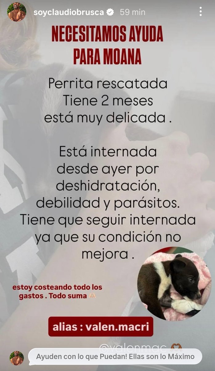yolatucu39's tweet image. Necesitamos ayuda para #MOANA una perrita rescatada tiene 2 meses y está muy delicada en la imagen todos los datos @laufer4 @jimenadequilmes @laufer4  @rochiiaaguirre @claudiobrusca @NicolasOcchiato @cmdeluzu @nadiedicenada_ @ivannoble @lalioficial @lali_une @LaliPJA