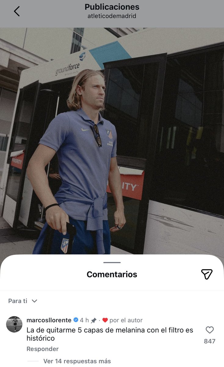 🐑🐑🐑 chenoa ⋆ 𖤓 ⋆˚࿔ 🐑🐑🐑 tweet media