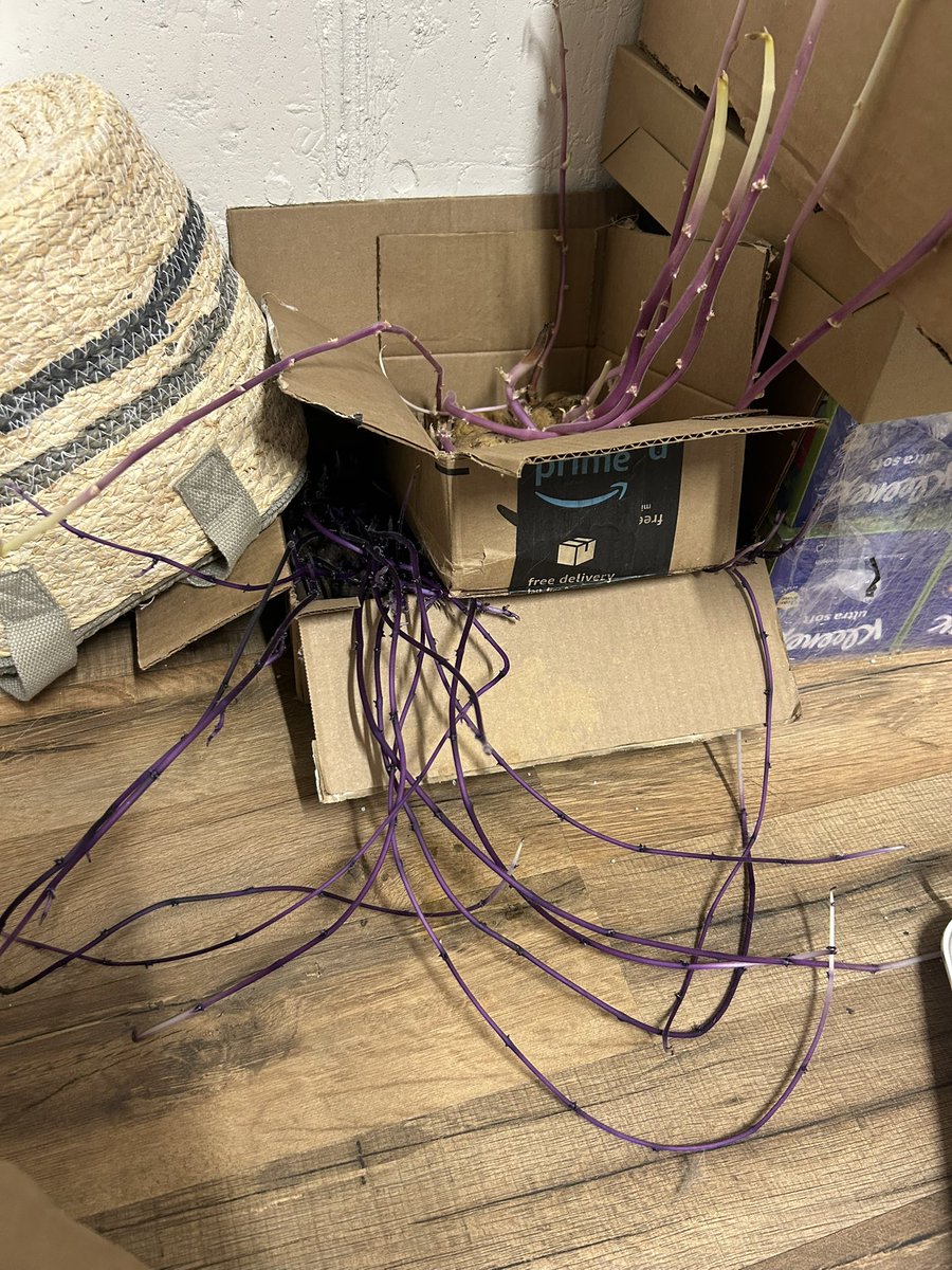 The Wasatch Jackalope tweet media