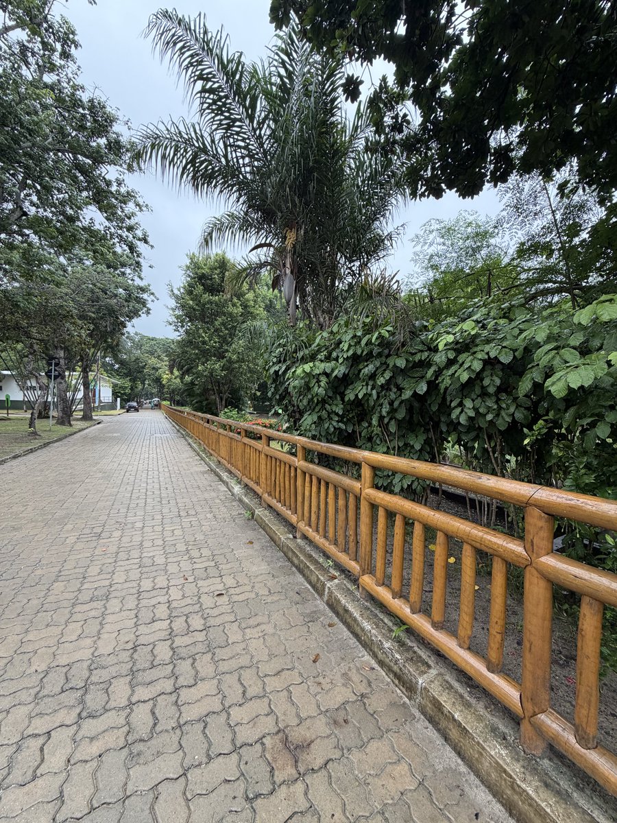 Hoje fui para uma corrida e, por acaso, passei em frente ao Zoológico de Fortaleza. Que, por um acaso também, hoje está reinaugurando em comemoração aos 300 anos de Fortaleza! #zoologico #Fortaleza #300anosdeFortaleza