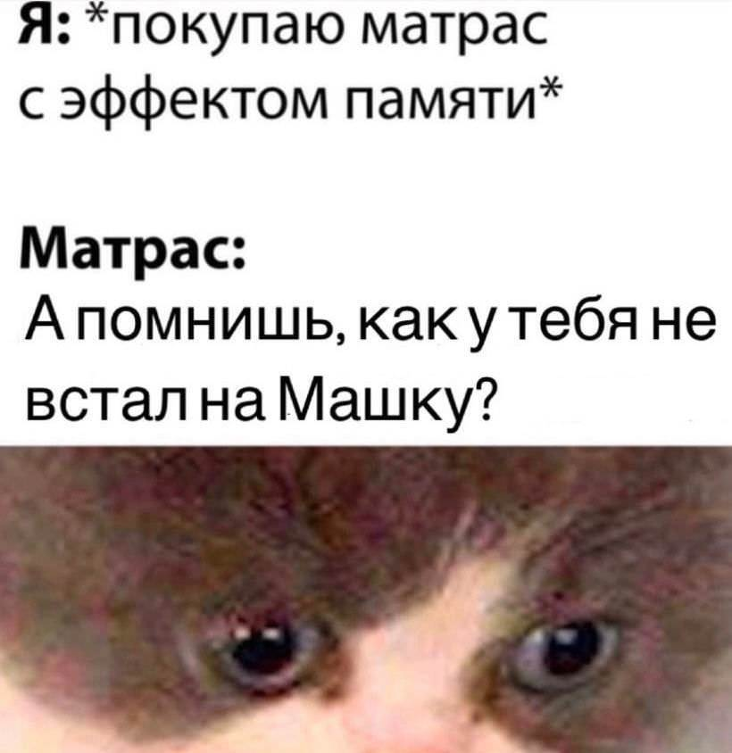 Элишкa tweet media