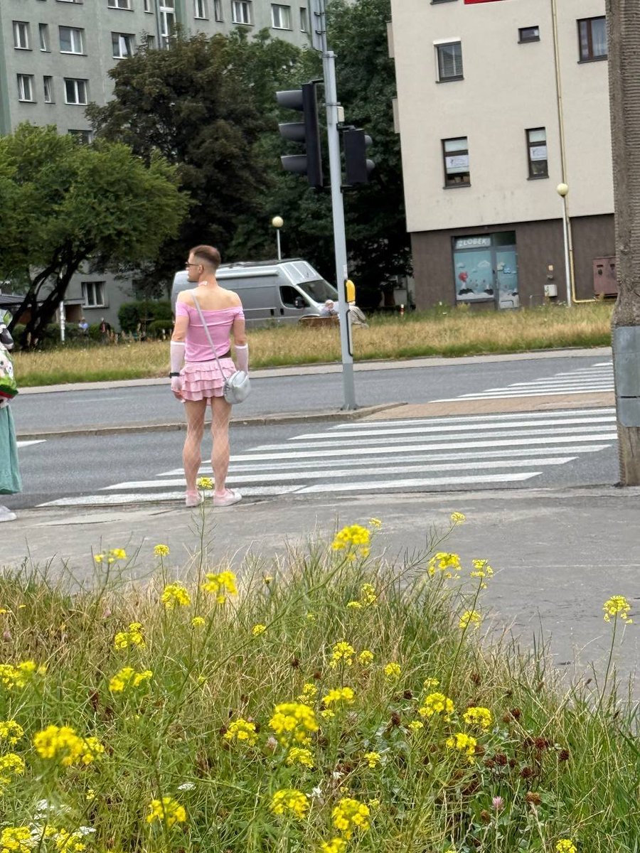 𝚂𝚔𝚗𝚎𝚛𝚞𝚜 tweet media