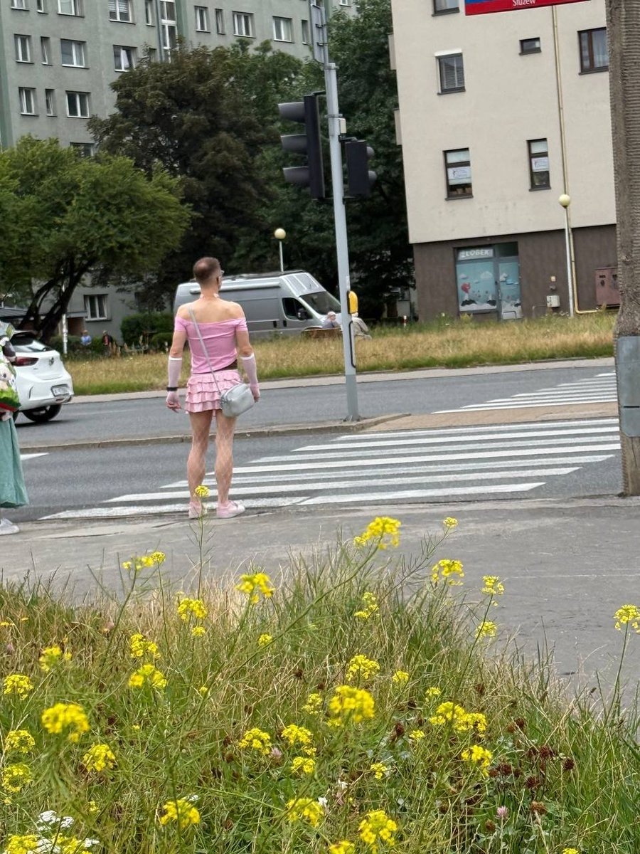 𝚂𝚔𝚗𝚎𝚛𝚞𝚜 tweet media