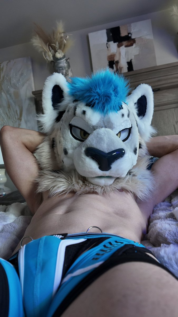 swifty_the_snep's tweet image. Anyone wanna tame this brat?~ #furry #furries #fursuit #furrycommunity #FursuitEverday