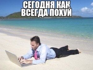 помидорка tweet media