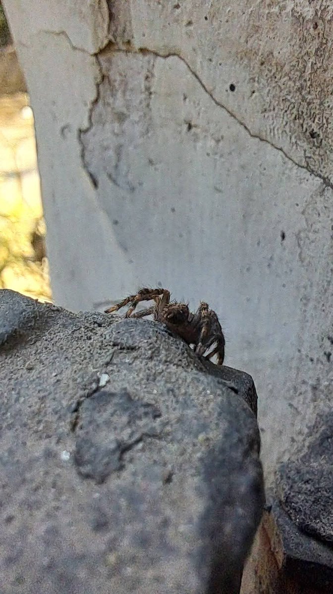 Usha Wildflower 🌱📚 🍀 tweet media