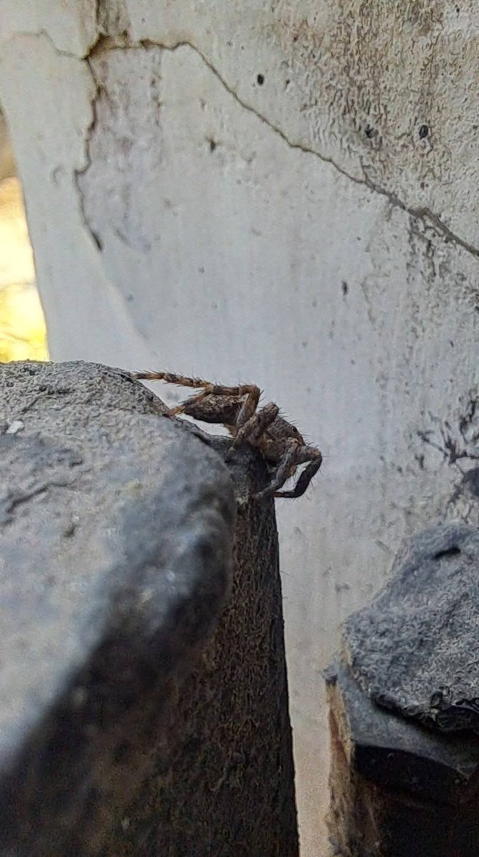 Usha Wildflower 🌱📚 🍀 tweet media