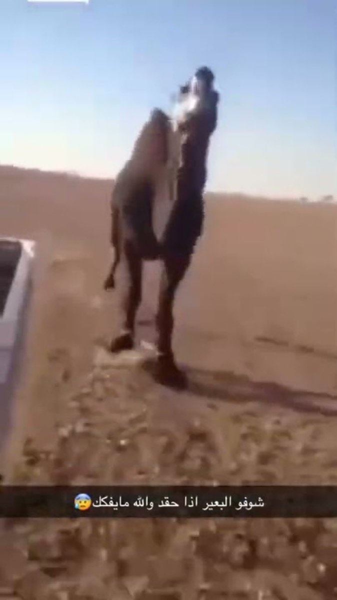 غارناتشو الوصل tweet media