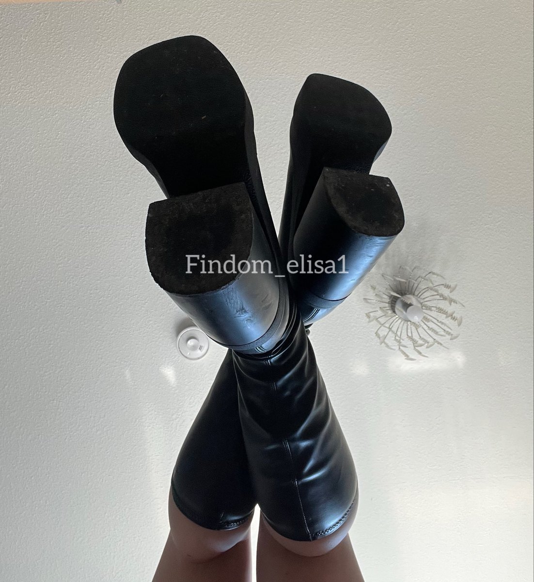 Prinzessin Elisa tweet media