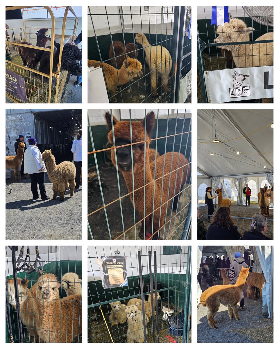 KX105 New Country FM tweet media