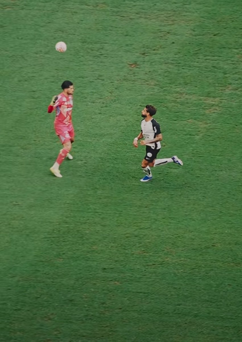 𝘍𝘳𝘢𝘯 tweet media