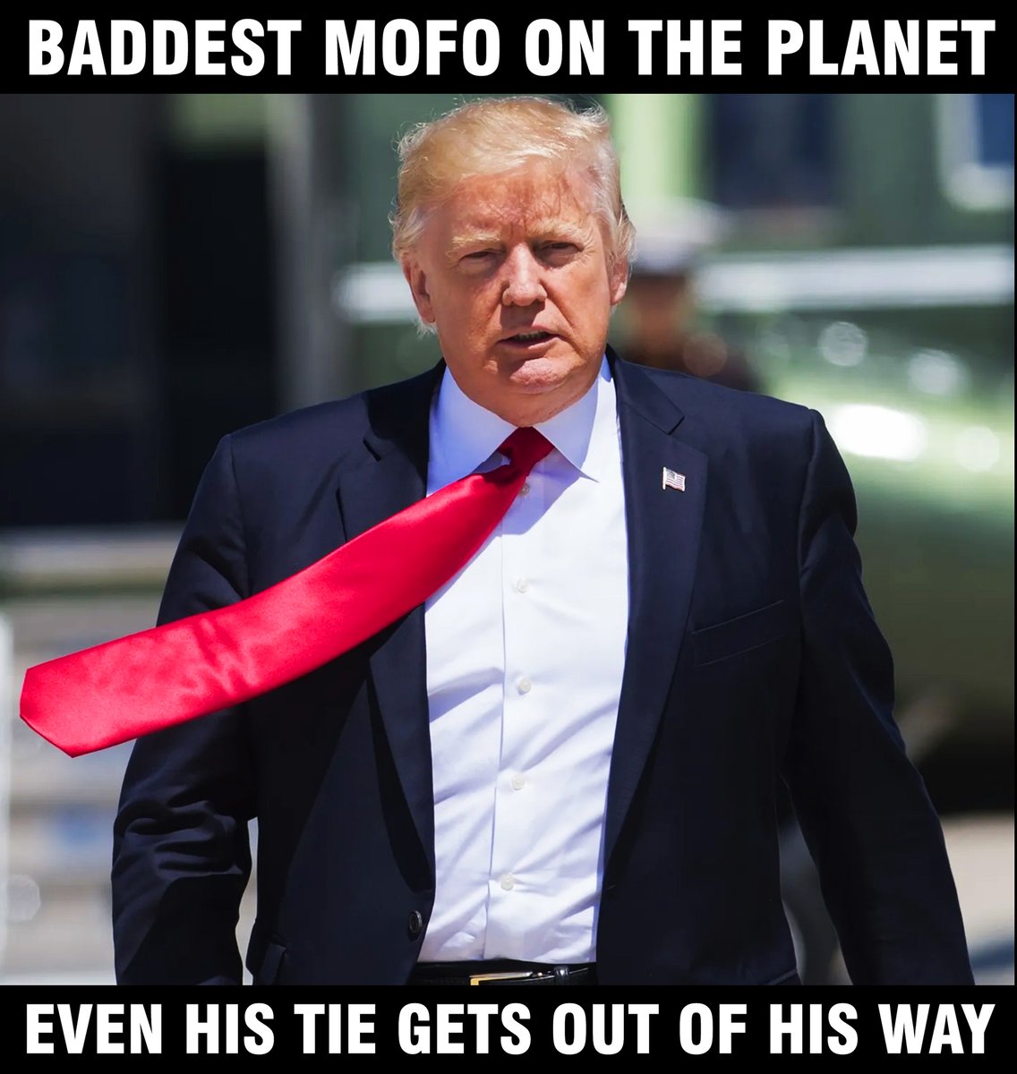 il Donaldo Trumpo (@papitrumpo) on Twitter photo 