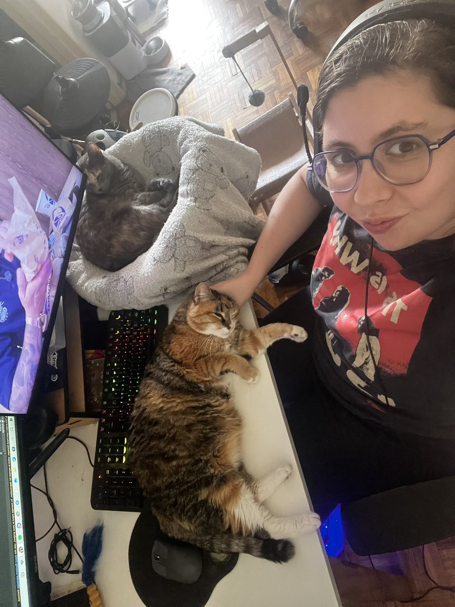 Solchu Paletas tweet media