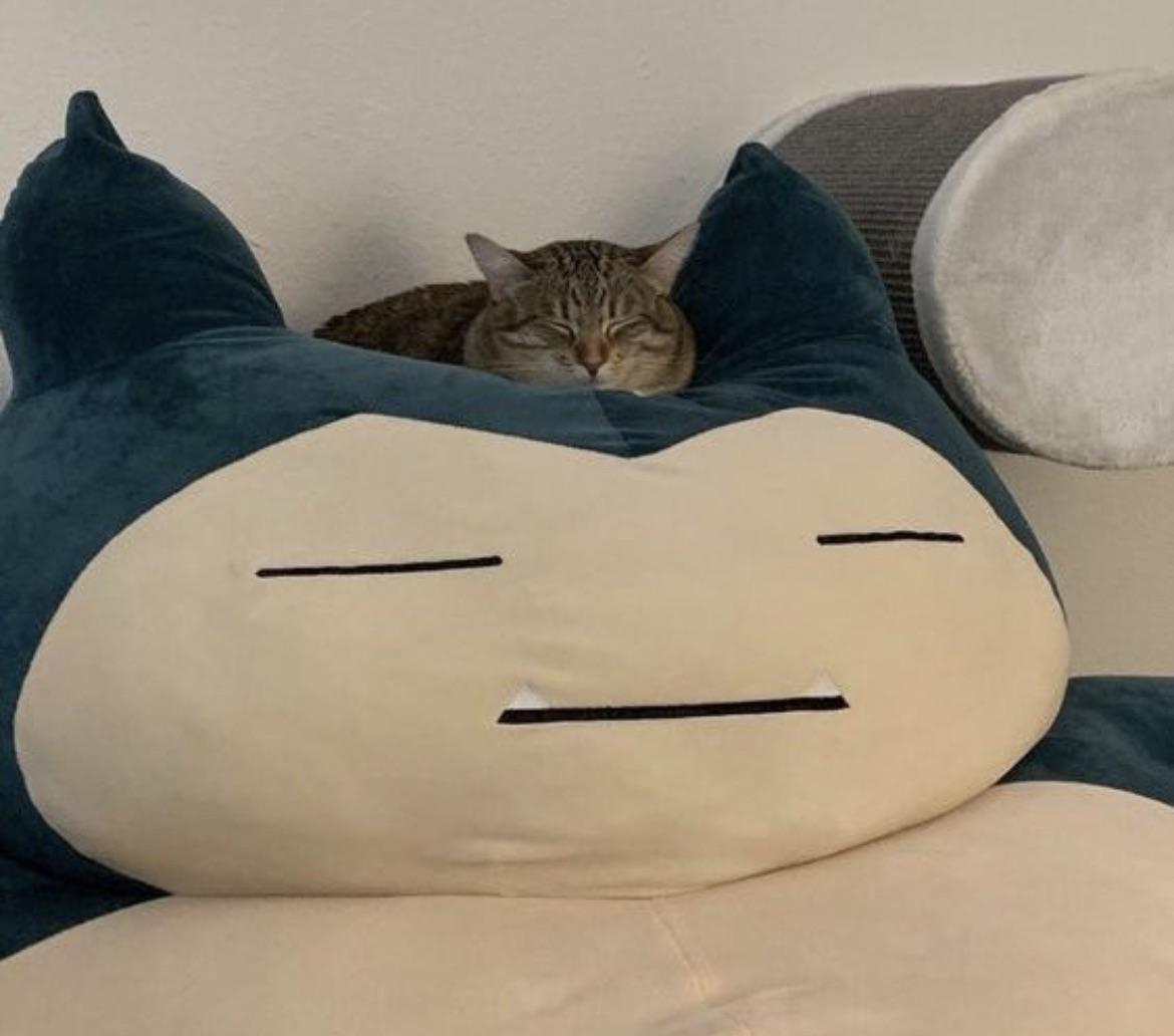 Alexandre tweet media