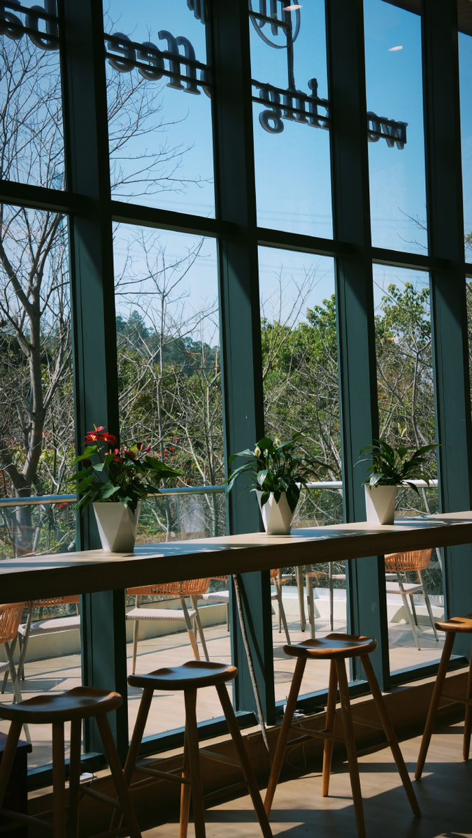 Synapsa Lab tweet media