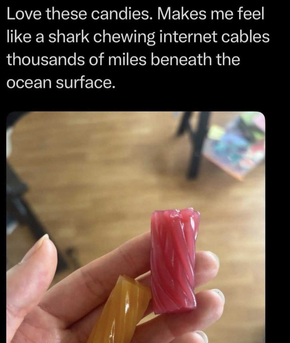 Respectful Memes (@respectfulmemes) on Twitter photo 