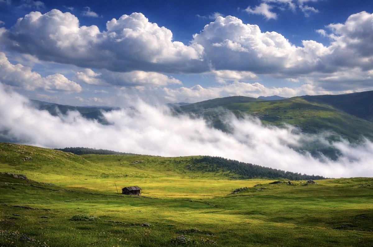 Ruhumun sessizliğini seviyorum;
kimseye dokunmayan, kimseden de bir şey beklemeyen o tenha kıyıyı…

📍Cahmut Yaylası 📸