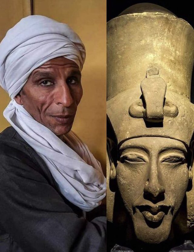 Olive 🌿 tweet media