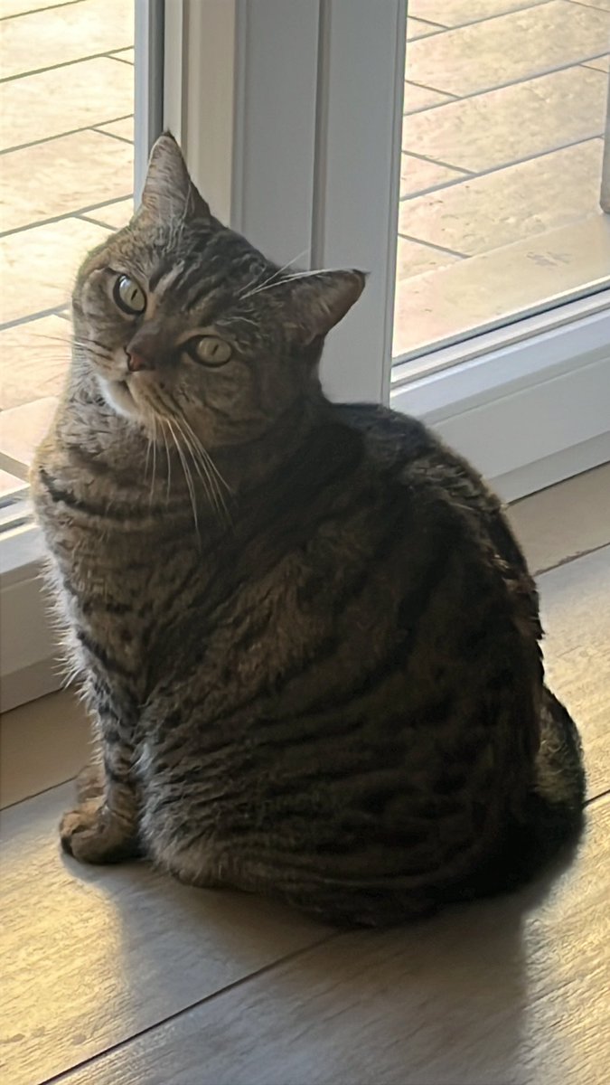 ❤️Atrebor❤️ tweet media