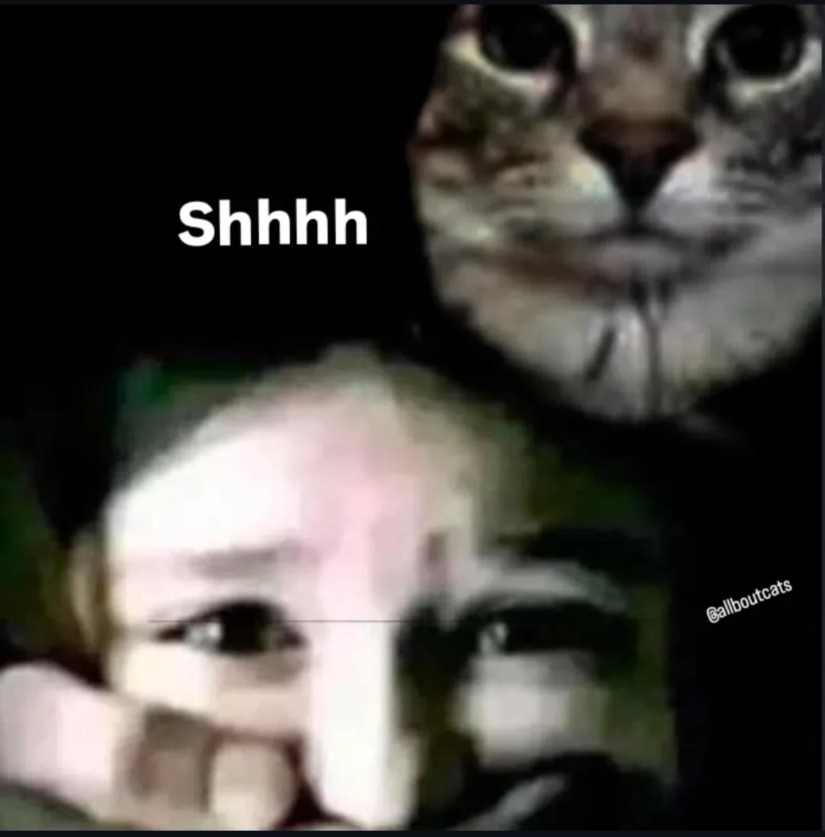 Daniel Jolomi tweet media