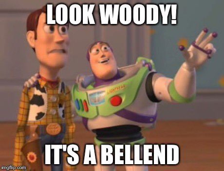 Crazy Horse tweet media