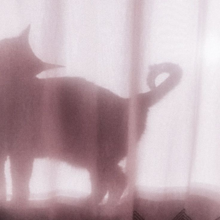 타나카 tweet media