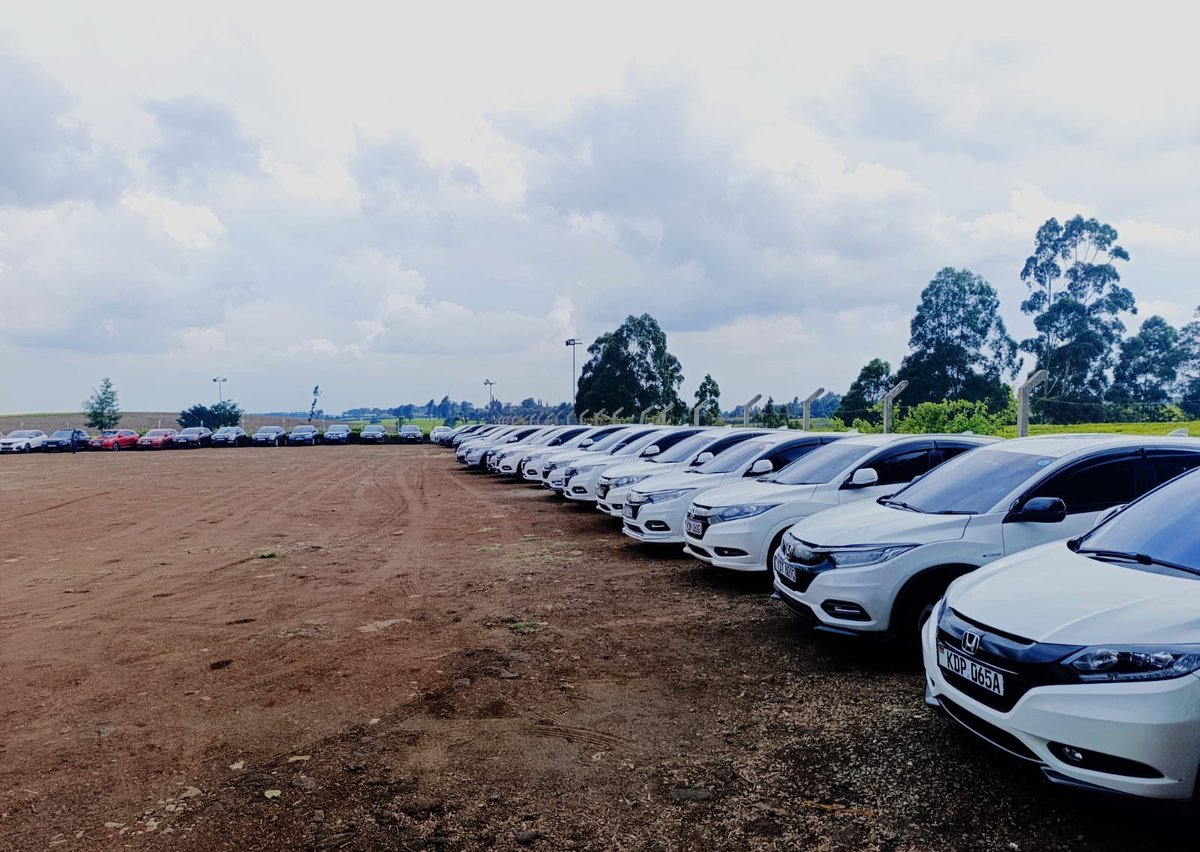 King Darius• - NOVA Tribe tweet media