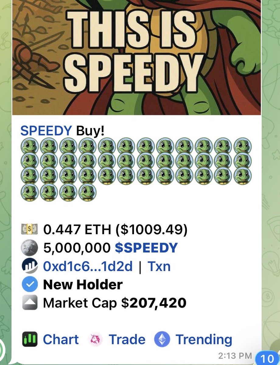 SPEEDY 🐢 tweet media