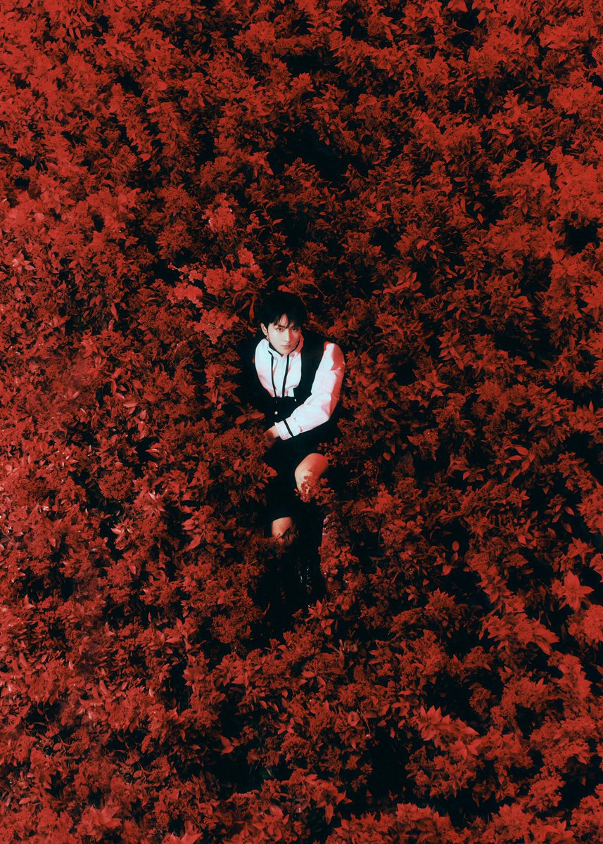 mxplode_'s tweet photo. M—XPLODE "DARK BLOOD" Concept Photo - JUNGWON (NEW Ver.)

#MXPLODE #DARKBLOOD https://t.co/y2YBMMbXTp