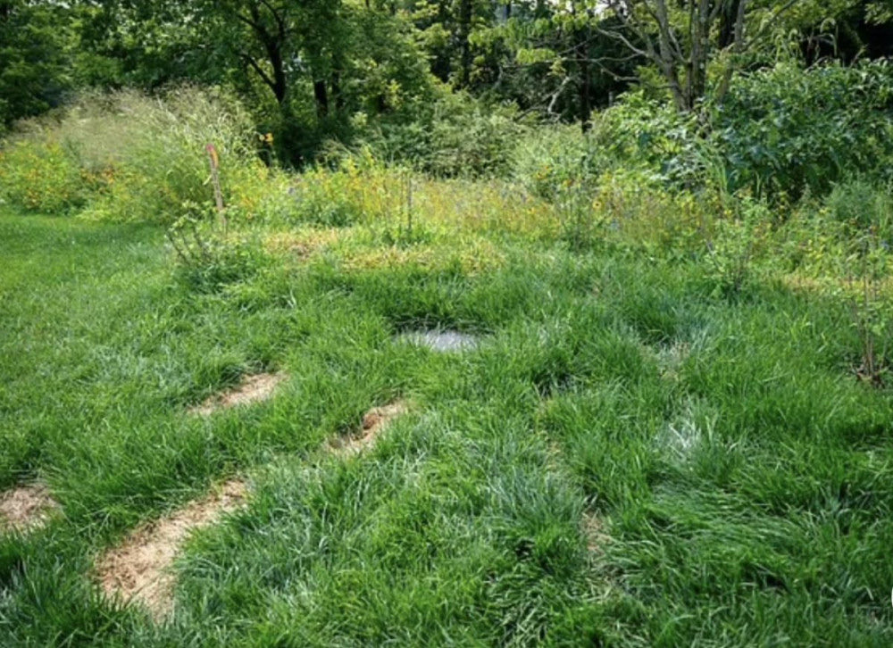 The_Real_Fly tweet media