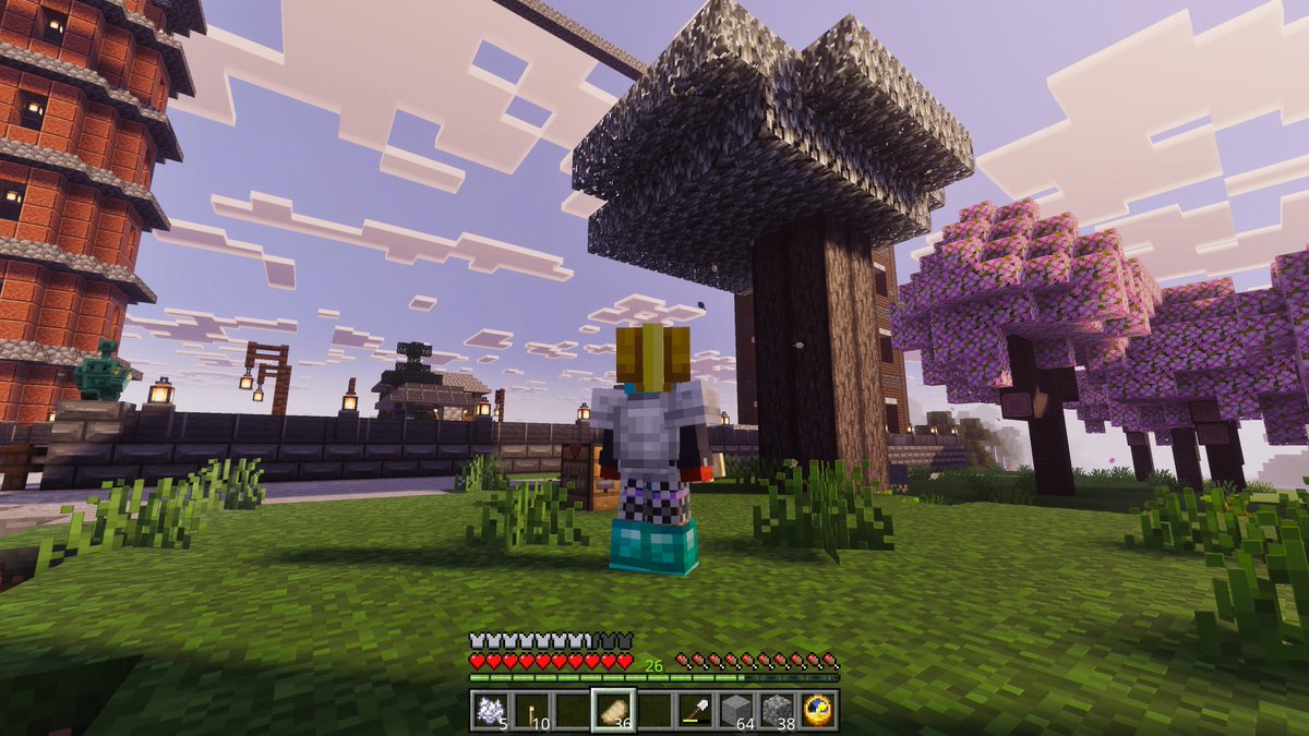 ・整地した

・行商人からペールオークの苗木を買えた

#Minecraft