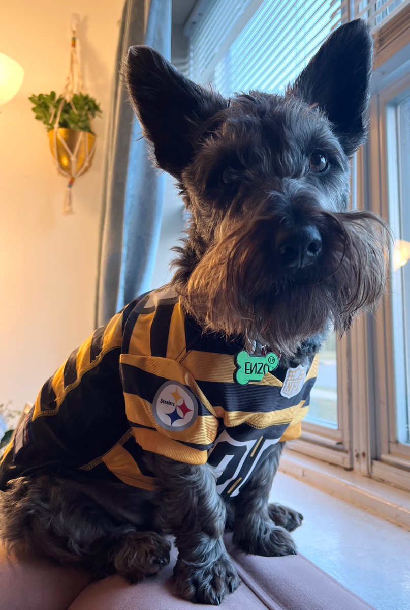 N-N-Nick tweet media