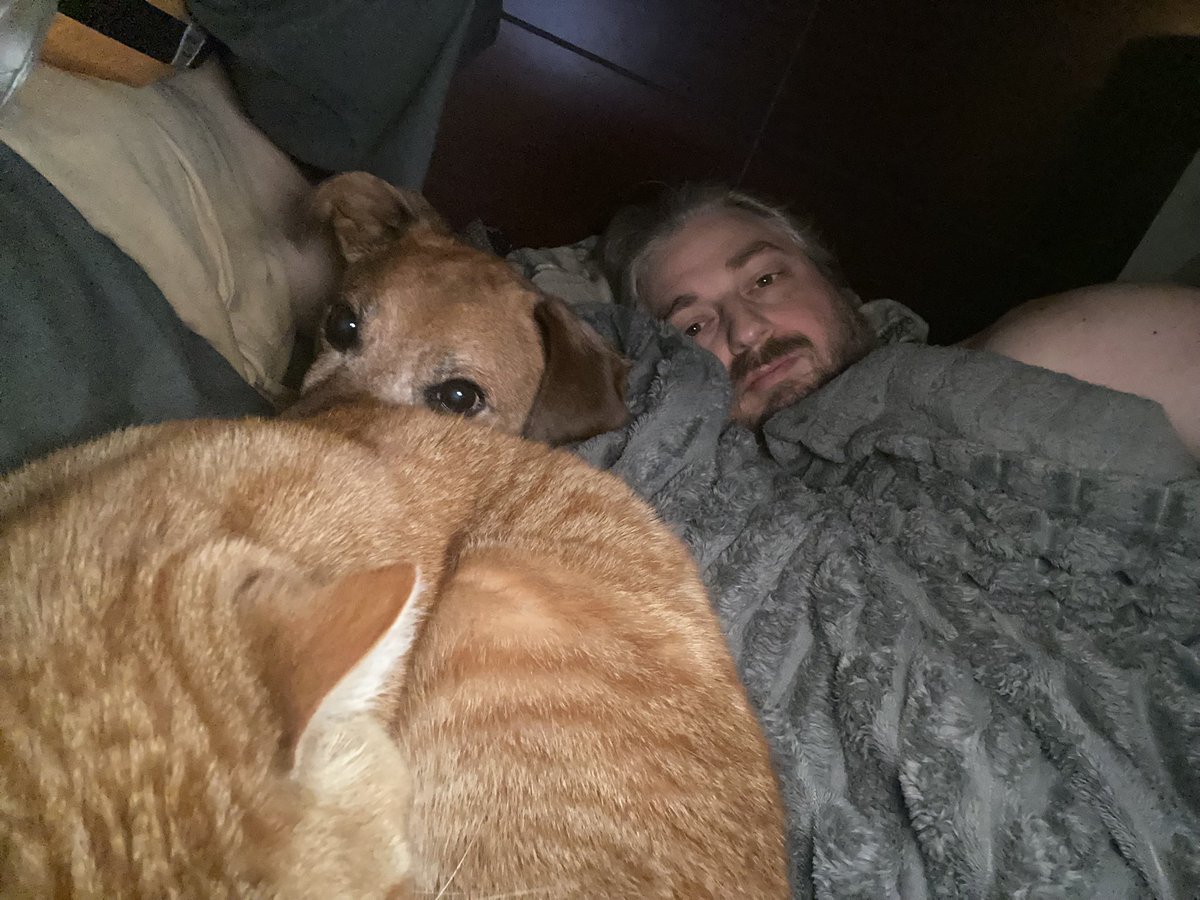 Matt Ramsey tweet media