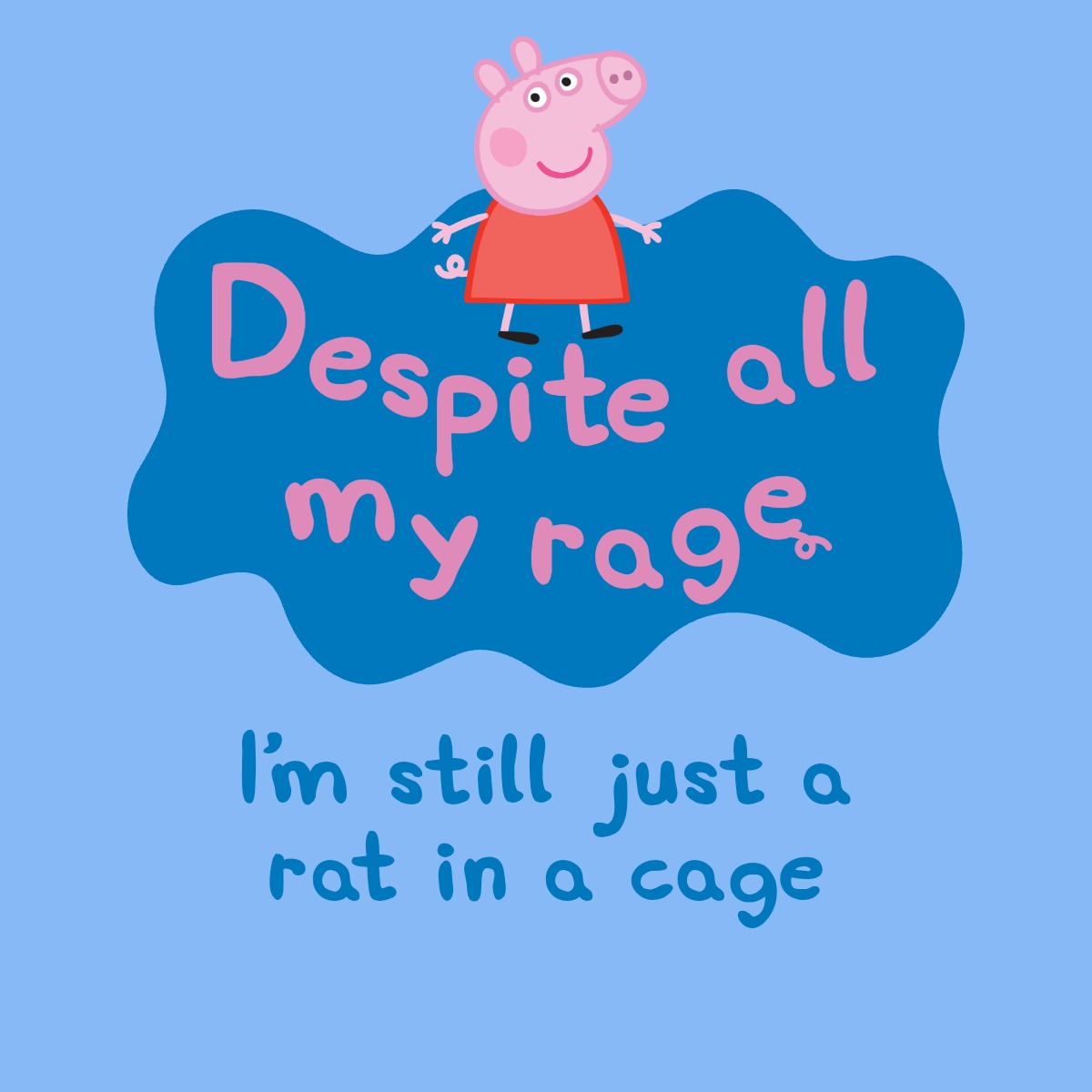 liaml7g06 tweet media