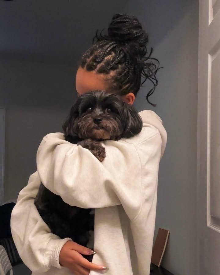 Prelude Upload tweet media