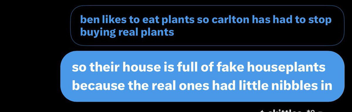 laura !! | CARLBEN CEO tweet media