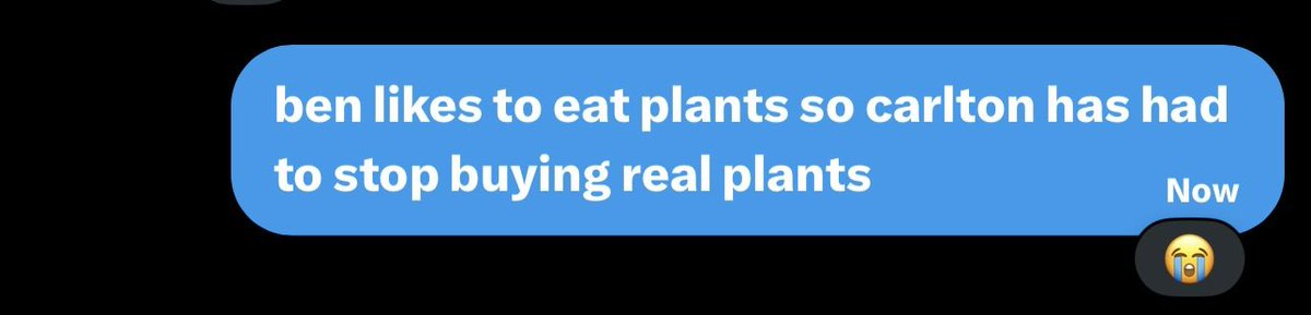 laura !! | CARLBEN CEO tweet media