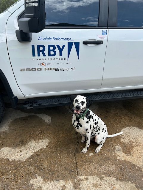 IrbyConst's tweet photo. Happy National Pet Day from all of us at Irby🐾⚡
Here’s to the loyal, hardworking (and sometimes mischievous) pets that power our lives beyond the lines. 💙🐶🐱
#IrbyConstruction #NationalPetDay #AbsolutePerformance #WeAreQuanta @Quanta_Services https://t.co/MvDy8hDzuh