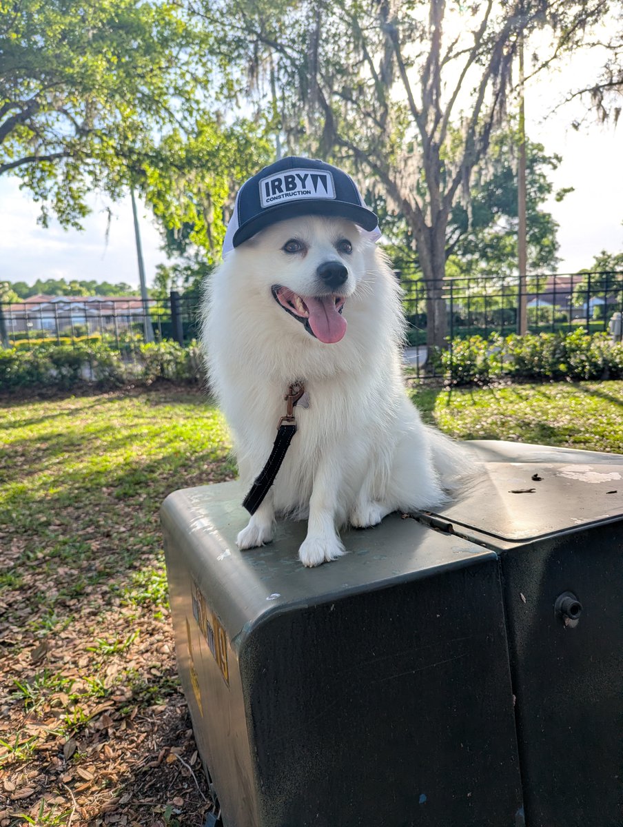 IrbyConst's tweet photo. Happy National Pet Day from all of us at Irby🐾⚡
Here’s to the loyal, hardworking (and sometimes mischievous) pets that power our lives beyond the lines. 💙🐶🐱
#IrbyConstruction #NationalPetDay #AbsolutePerformance #WeAreQuanta @Quanta_Services https://t.co/MvDy8hDzuh
