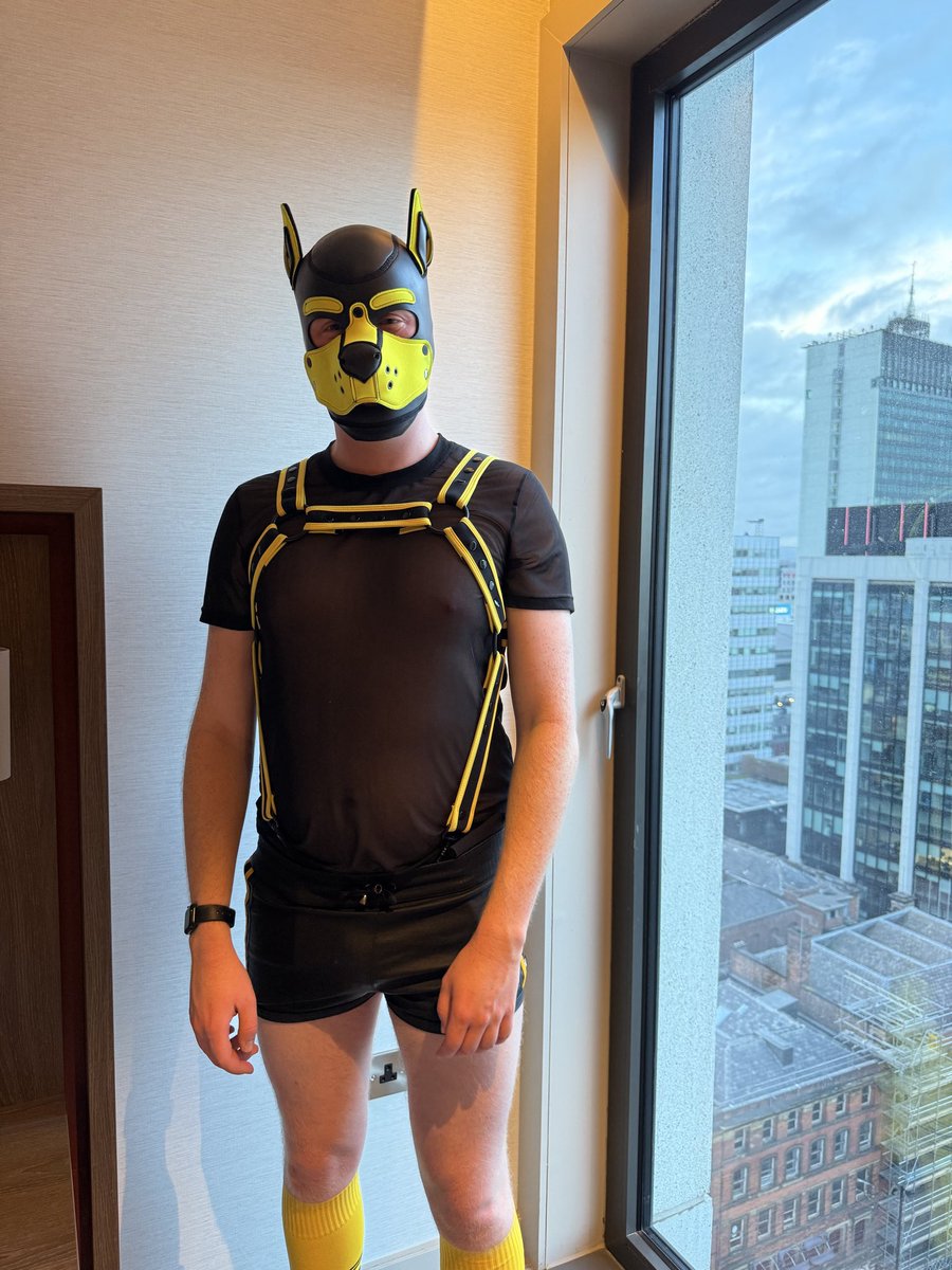 Pup Kobi 🐶 tweet media