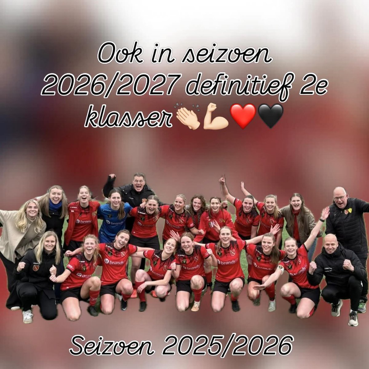 jan timmer tweet media