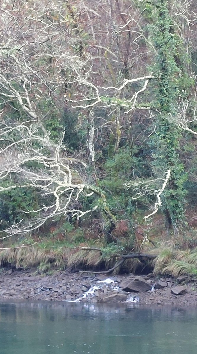 𝓙. 𝓒. 𝓕. tweet media