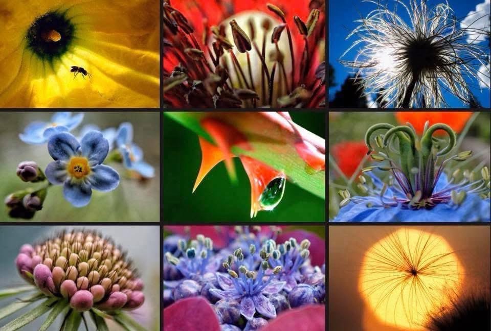 Sky* Ronald Stocker – Born in Ocean Falls B.C. tweet media