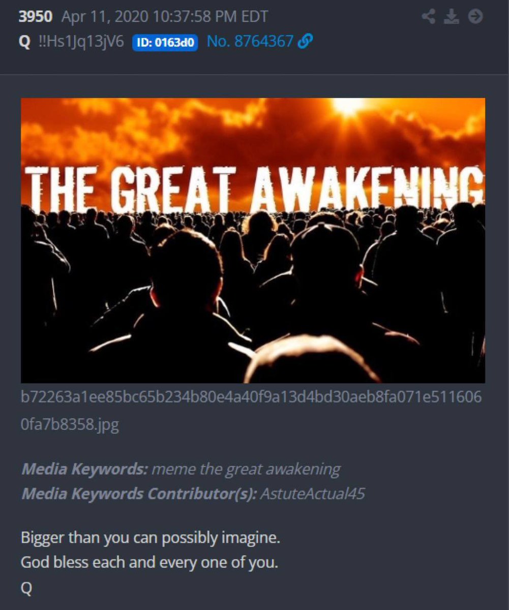 𝐎𝐍𝐄𝐋𝐋𝐀 𝐒𝐇𝐀𝐍𝐍𝐎𝐍 𝐇𝐈𝐍𝐃𝐋𝐄 tweet media