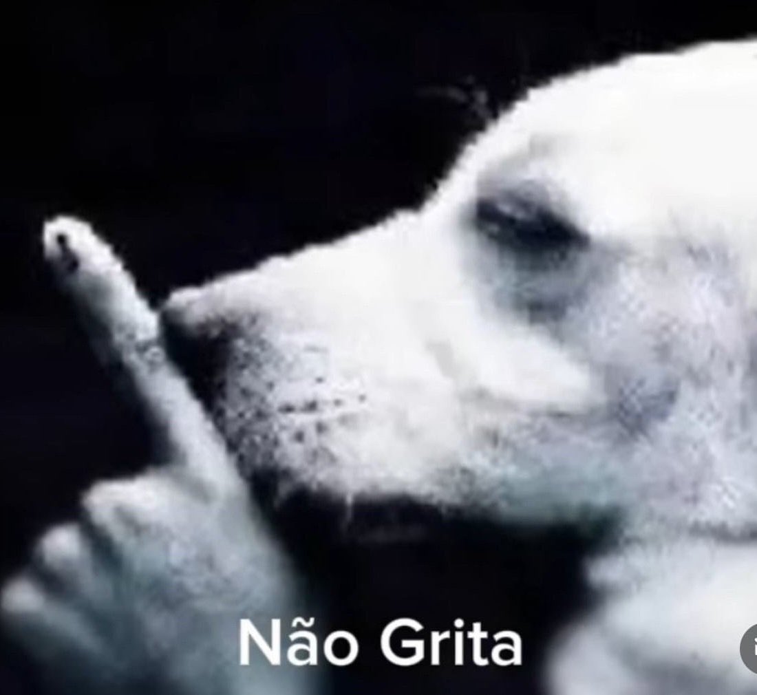 jurídico PROD SUGA tweet media